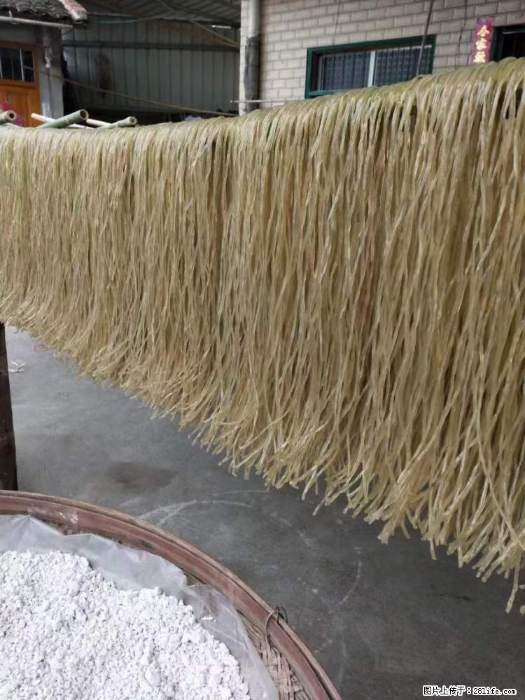 【灌阳正宗红薯粉】美女家里自己做的，干净卫生，假一赔十，价格合理，抢购电话：13737312895 - 美食天地 - 东营生活社区 - 东营28生活网 dy.28life.net