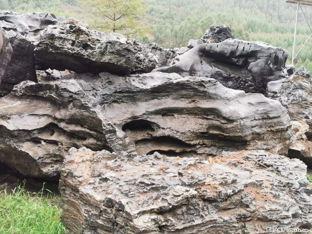 风景石、假山石大量有货，有需要的欢迎联系 - 新手上路 - 东营生活社区 - 东营28生活网 dy.28life.net