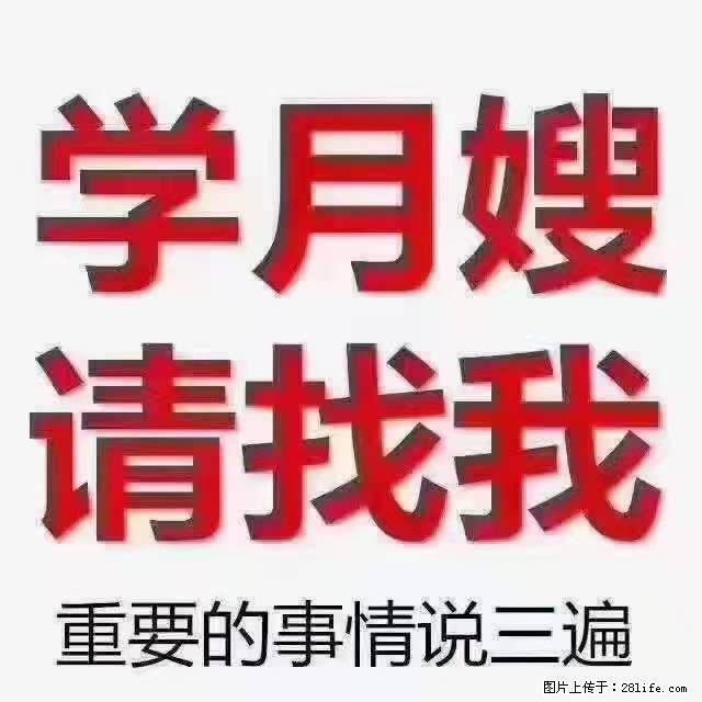 为什么要学习月嫂，育婴师？ - 其他广告 - 广告专区 - 东营分类信息 - 东营28生活网 dy.28life.net