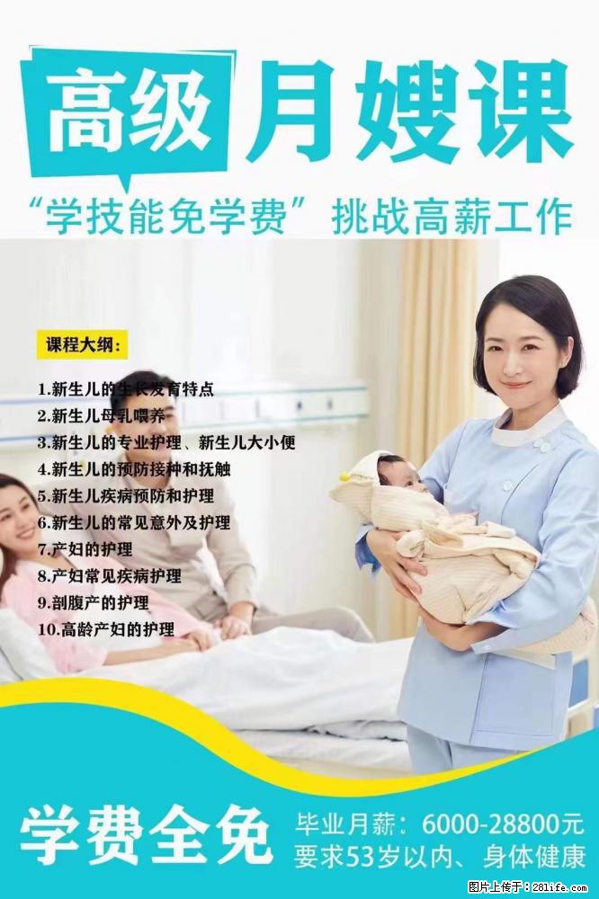 为什么要学习月嫂，育婴师？ - 其他广告 - 广告专区 - 东营分类信息 - 东营28生活网 dy.28life.net