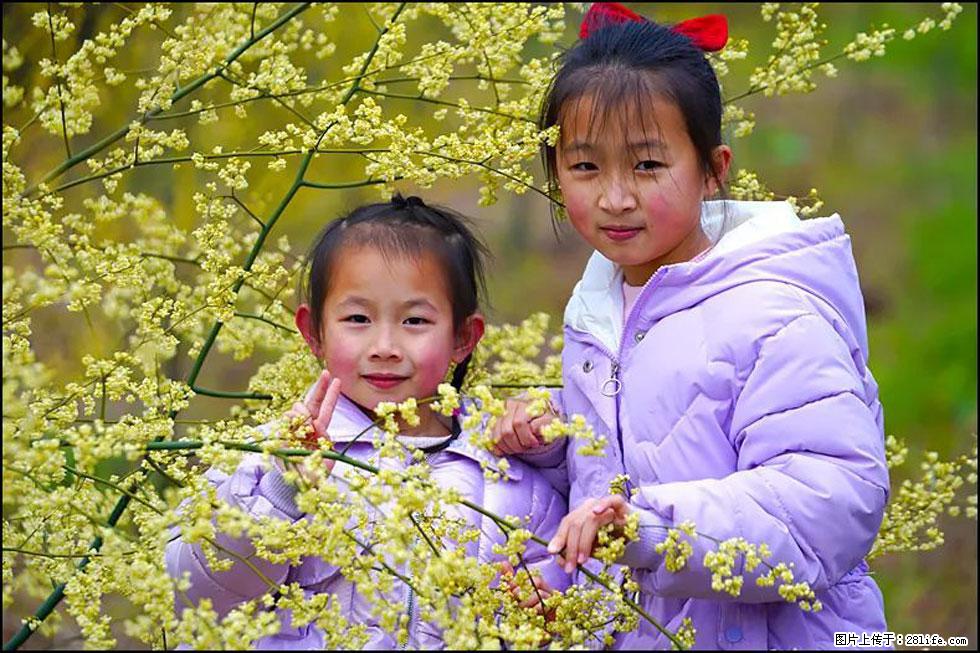 【春天，广西桂林灌阳县向您发出邀请！】米珠山前有片山苍子花在飘香 - 游山玩水 - 东营生活社区 - 东营28生活网 dy.28life.net