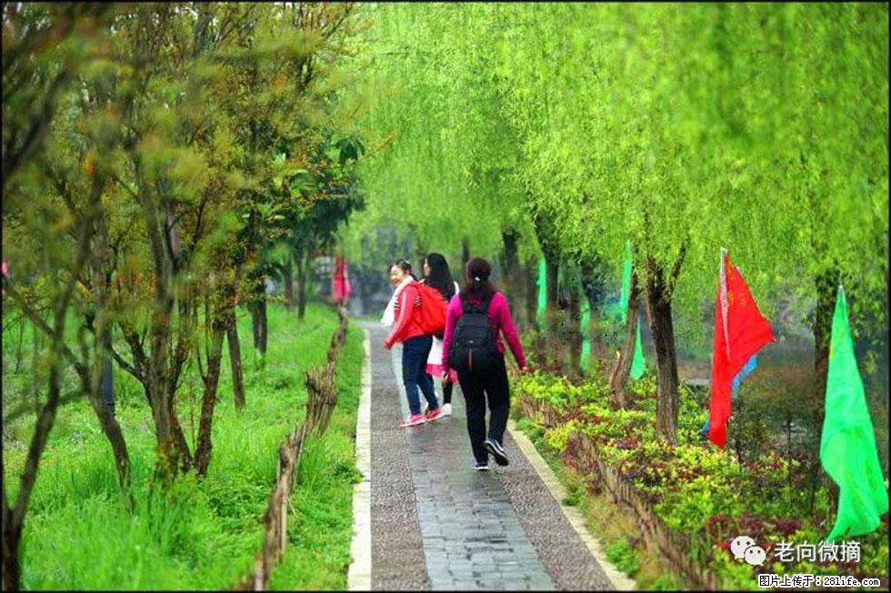 【春天，广西桂林灌阳县向您发出邀请！】江口老街又逢春 - 游山玩水 - 东营生活社区 - 东营28生活网 dy.28life.net