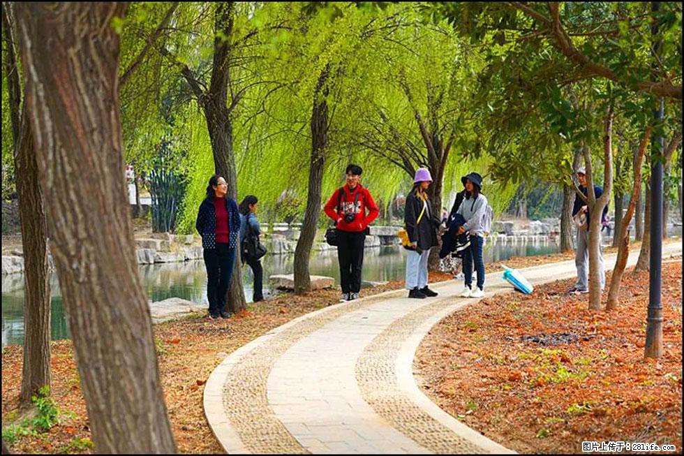 【春天，广西桂林灌阳县向您发出邀请！】江口老街又逢春 - 游山玩水 - 东营生活社区 - 东营28生活网 dy.28life.net
