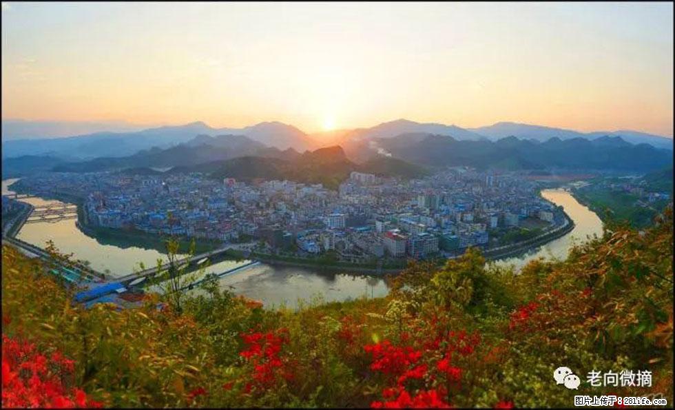 【春天，广西桂林灌阳县向您发出邀请！】登麒麟山，相约映山红 - 游山玩水 - 东营生活社区 - 东营28生活网 dy.28life.net