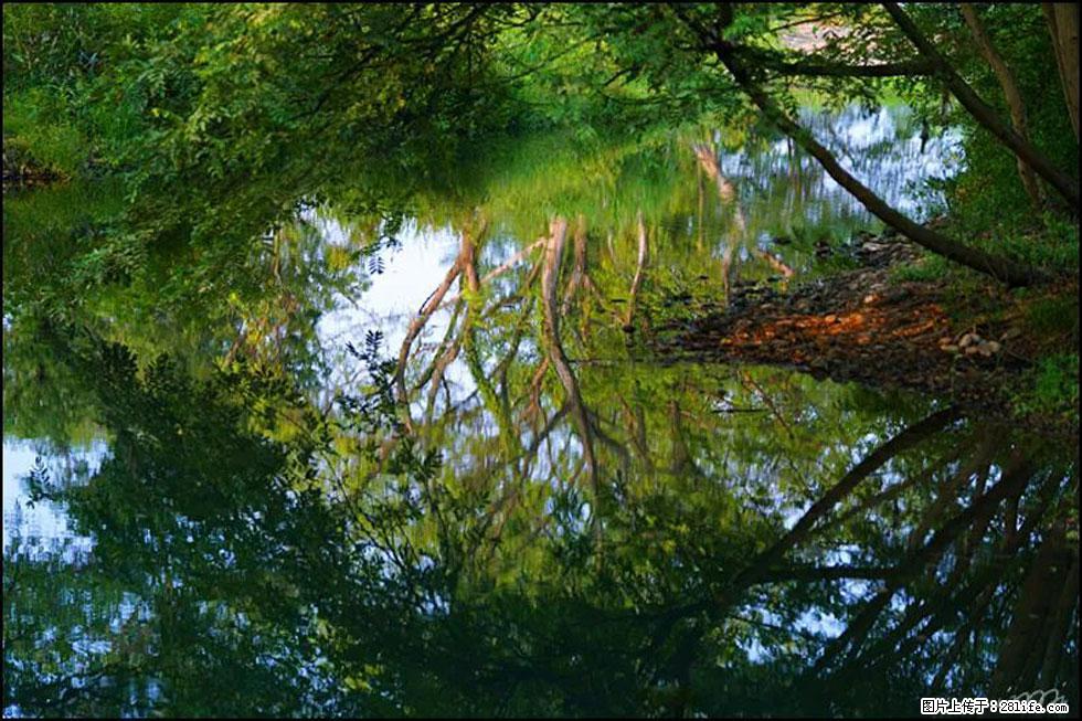 【春天，广西桂林灌阳县向您发出邀请！】熊家寨湿地公园 - 游山玩水 - 东营生活社区 - 东营28生活网 dy.28life.net