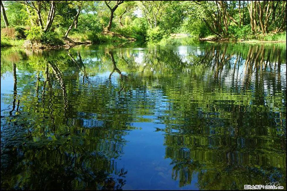 【春天，广西桂林灌阳县向您发出邀请！】熊家寨湿地公园 - 游山玩水 - 东营生活社区 - 东营28生活网 dy.28life.net