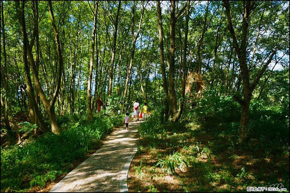 【春天，广西桂林灌阳县向您发出邀请！】熊家寨湿地公园 - 游山玩水 - 东营生活社区 - 东营28生活网 dy.28life.net