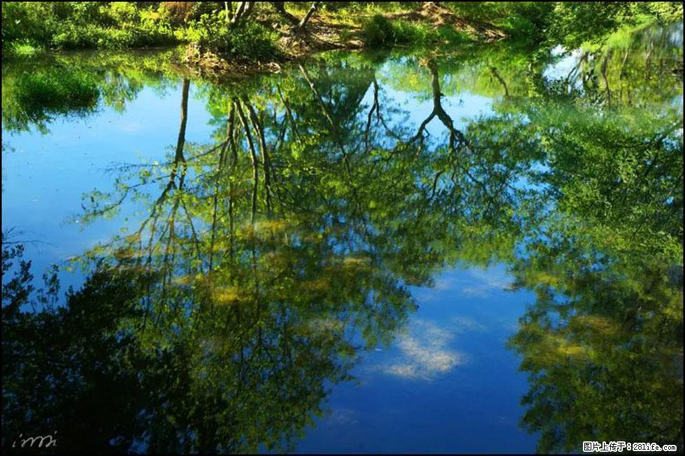 【春天，广西桂林灌阳县向您发出邀请！】熊家寨湿地公园 - 游山玩水 - 东营生活社区 - 东营28生活网 dy.28life.net