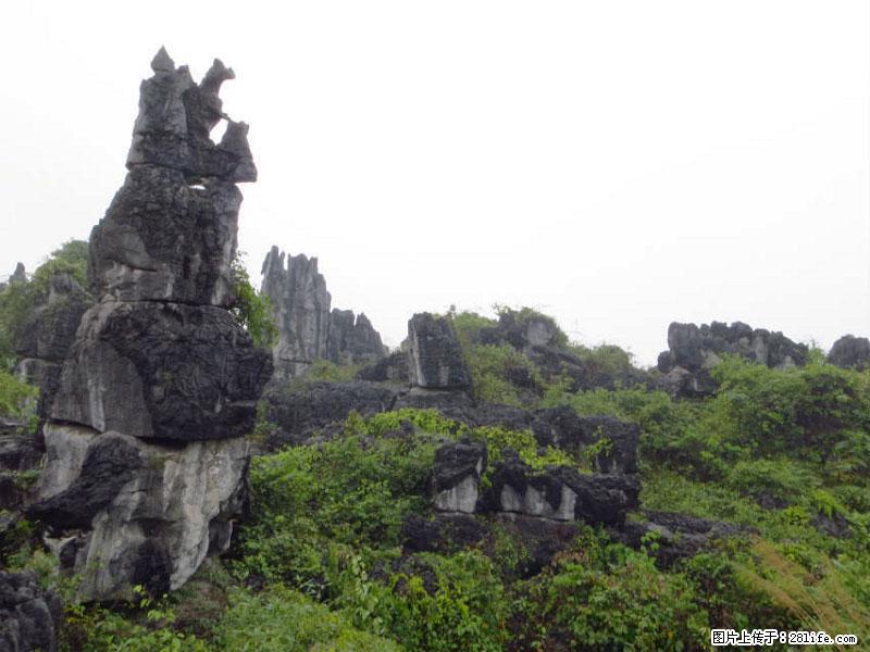 桂林旅游名城景点：灌阳文市石林 - 游山玩水 - 东营生活社区 - 东营28生活网 dy.28life.net
