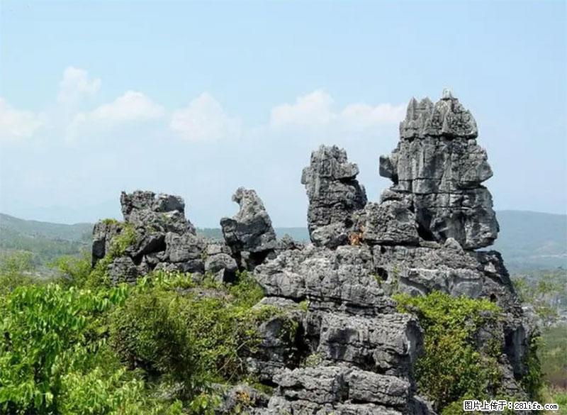 桂林旅游名城景点：灌阳文市石林 - 游山玩水 - 东营生活社区 - 东营28生活网 dy.28life.net
