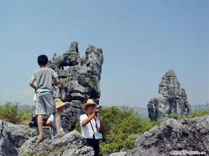 桂林旅游名城景点：灌阳文市石林 - 游山玩水 - 东营生活社区 - 东营28生活网 dy.28life.net