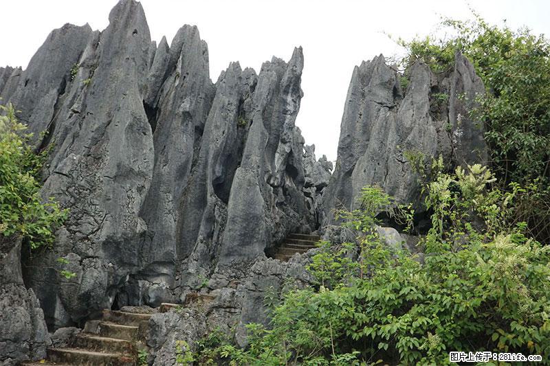 桂林旅游名城景点：灌阳文市石林 - 游山玩水 - 东营生活社区 - 东营28生活网 dy.28life.net