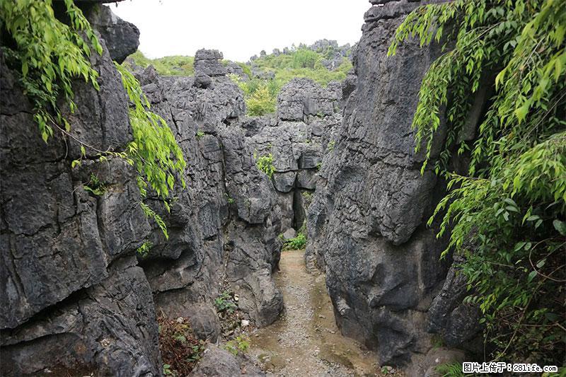 桂林旅游名城景点：灌阳文市石林 - 游山玩水 - 东营生活社区 - 东营28生活网 dy.28life.net