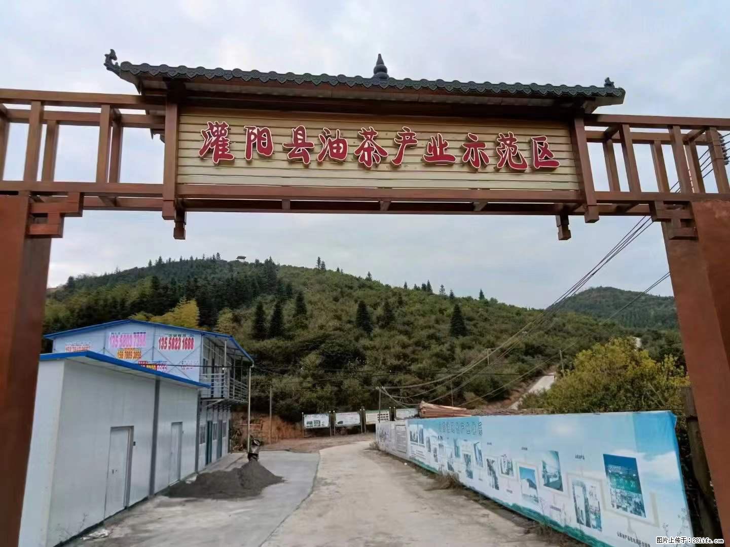 【灌阳县油茶产业示范区】一个有着充实的精神生活的人，对待身外之物自会有一种淡泊的态度 - 土特产 - 饮食特产 - 东营分类信息 - 东营28生活网 dy.28life.net