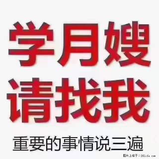 为什么要学习月嫂，育婴师？ - 东营28生活网 dy.28life.net