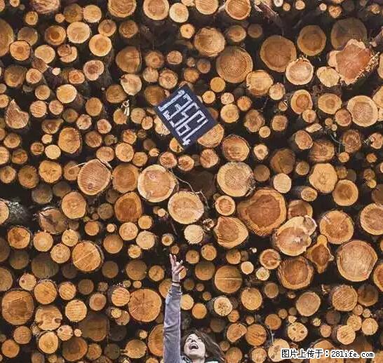 辞掉工作周游世界？现在他们在洗厕所…… - 游山玩水 - 东营生活社区 - 东营28生活网 dy.28life.net