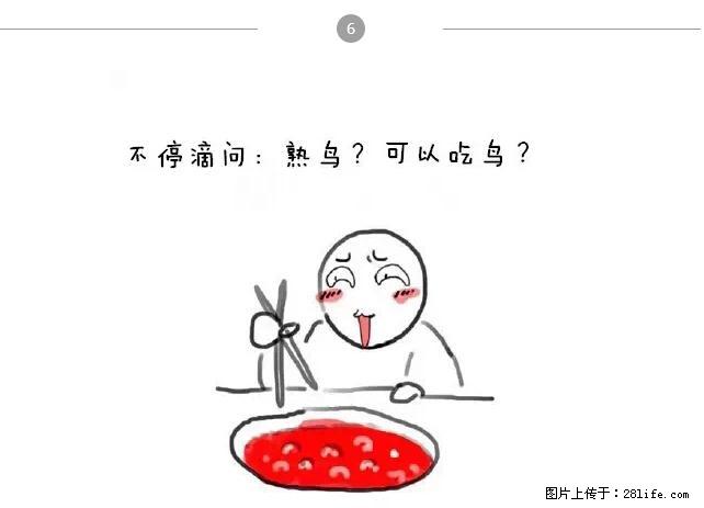 千万不要和这9种哈卵一起吃火锅！ - 美食天地 - 东营生活社区 - 东营28生活网 dy.28life.net