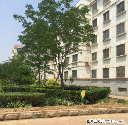 西城，交通方便路段，好楼层，便宜出租，每年1.2万。 - 房屋出租 - 房屋租售 - 东营分类信息 - 东营28生活网 dy.28life.net