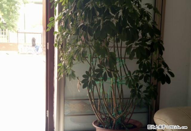 河锦50型5楼出租，有空调、冰箱，年租年交5000元。 - 房屋出租 - 房屋租售 - 东营分类信息 - 东营28生活网 dy.28life.net