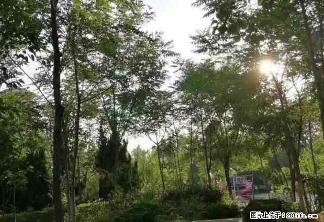 七村五楼两室一厅带部分家具家电 - 房屋出租 - 房屋租售 - 东营分类信息 - 东营28生活网 dy.28life.net
