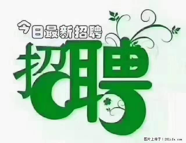 【招聘摄像师】待遇：试用期6000元/月，转正7000元/月+五险一金+餐补+节日福利+奖金 - 其他招聘信息 - 招聘求职 - 东营分类信息 - 东营28生活网 dy.28life.net