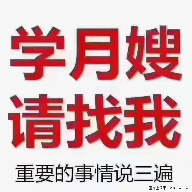 【招聘】月嫂，上海徐汇区 - 职场交流 - 东营生活社区 - 东营28生活网 dy.28life.net