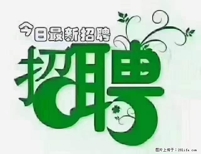 上海隔离酒店招人：55岁以下 男女不限 - 职场交流 - 东营生活社区 - 东营28生活网 dy.28life.net