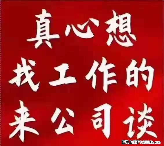【上海】国企，医院招两名男保安，55岁以下，身高1.7米以上，无犯罪记录不良嗜好 - 职场交流 - 东营生活社区 - 东营28生活网 dy.28life.net