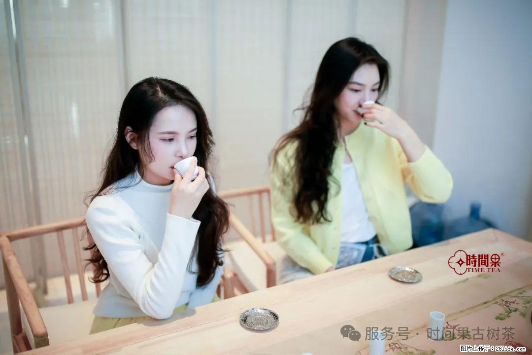 时间果百年古树龙珠普洱生茶 - 购物交流 - 东营生活社区 - 东营28生活网 dy.28life.net