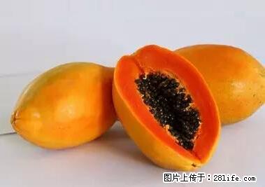 晕车、脚气、牙齿变黄、皮肤粗糙?学会这些三分钟搞定! - 东营生活资讯 - 东营28生活网 dy.28life.net