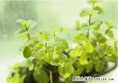晕车、脚气、牙齿变黄、皮肤粗糙?学会这些三分钟搞定! - 东营生活资讯 - 东营28生活网 dy.28life.net