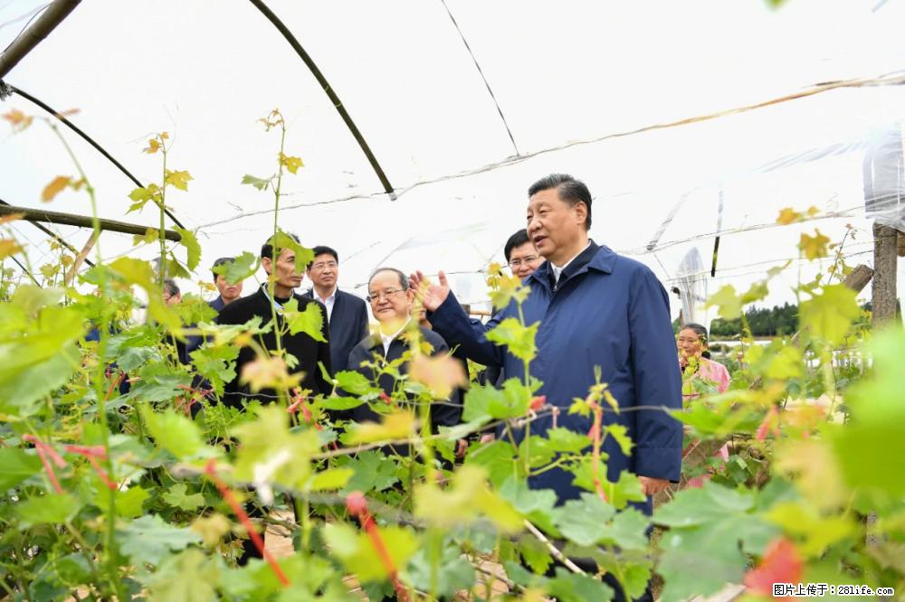 习近平赴广西考察调研 - 东营生活资讯 - 东营28生活网 dy.28life.net