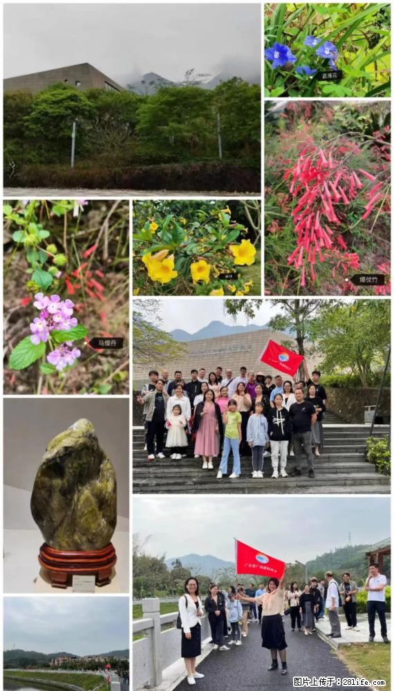 “粤灌文化 美好生活”油茶文化主题活动在广东深圳成功举办 - 东营生活资讯 - 东营28生活网 dy.28life.net