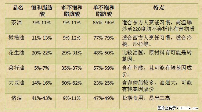 揭秘茶油的5大核心营养成分！被称为人体健康的“守护盾”！ - 东营生活资讯 - 东营28生活网 dy.28life.net