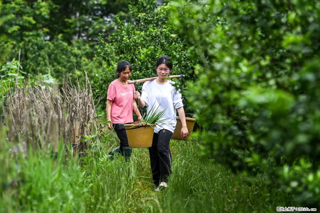 全网追的“扁担女孩”，找了一份暑假工，时薪12元 - 东营生活资讯 - 东营28生活网 dy.28life.net