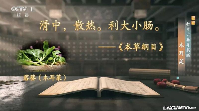 比牛奶补钙还厉害！凉血解毒、稳血糖...这菜冬天必吃，很多人却当草 - 东营生活资讯 - 东营28生活网 dy.28life.net
