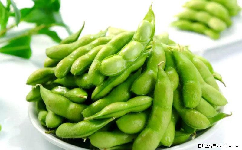 这些蔬菜是“天然钙片”，这6种被医生重点推荐 - 东营生活资讯 - 东营28生活网 dy.28life.net