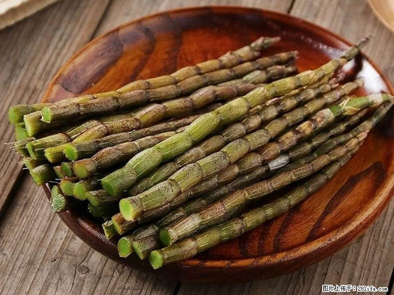 铁皮石斛的作用与功能主治 - 东营生活资讯 - 东营28生活网 dy.28life.net