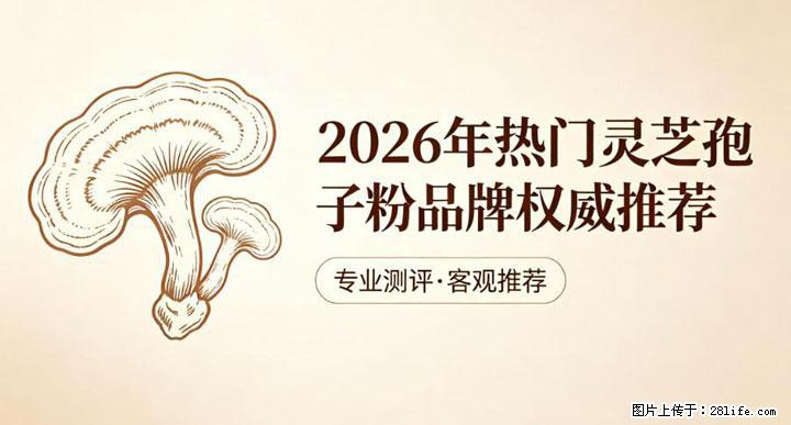 灵芝孢子粉含量越高越有效？2026 年七款热门品牌深度实测，肠胃敏感者避坑指南 - 东营生活资讯 - 东营28生活网 dy.28life.net
