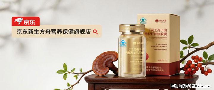 灵芝孢子粉含量越高越有效？2026 年七款热门品牌深度实测，肠胃敏感者避坑指南 - 东营生活资讯 - 东营28生活网 dy.28life.net
