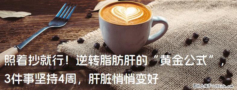 照着抄就行！逆转脂肪肝的“黄金公式”，3件事坚持4周，肝脏悄悄变好 - 东营生活资讯 - 东营28生活网 dy.28life.net